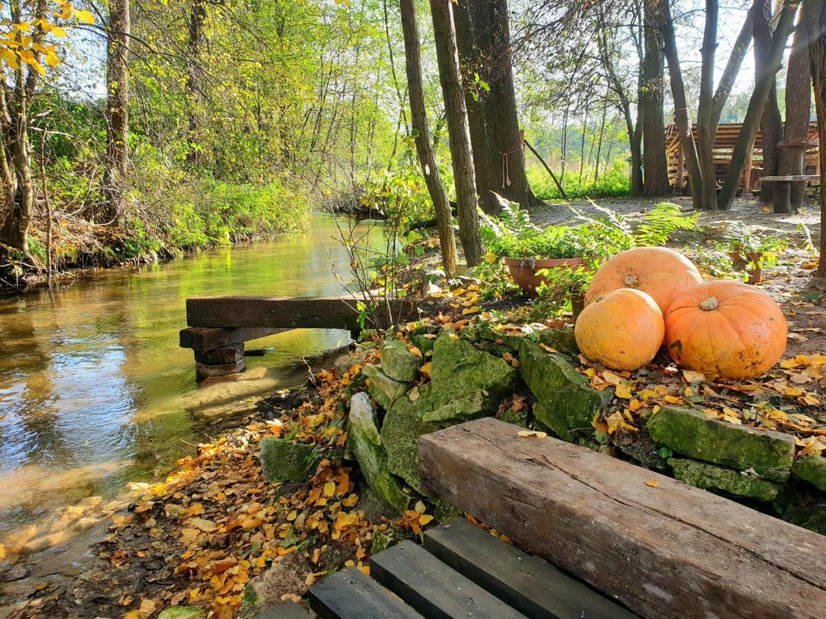 Willa Jurajska Sielanka - domek nad rzeczką Pradla Zewnętrze zdjęcie