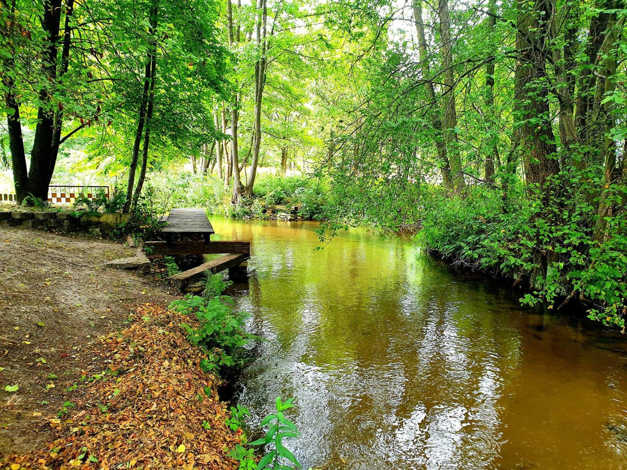 Willa Jurajska Sielanka - domek nad rzeczką Pradla Zewnętrze zdjęcie