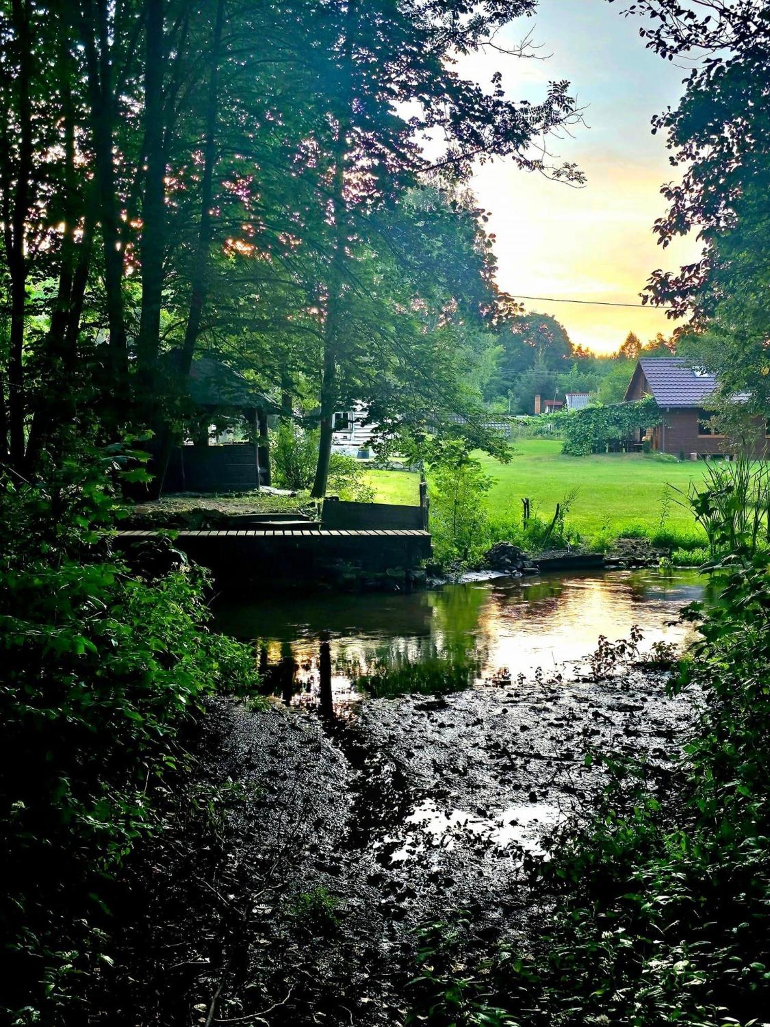 Willa Jurajska Sielanka - domek nad rzeczką Pradla Zewnętrze zdjęcie